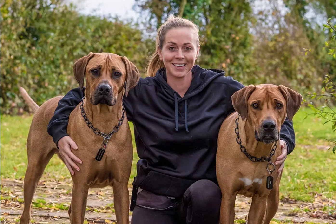 Meet The Team Hurley Dog Walking Meet The Team Hurley Dog Walking